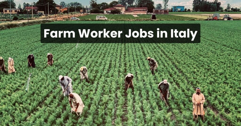 Farm Worker Jobs in Italy